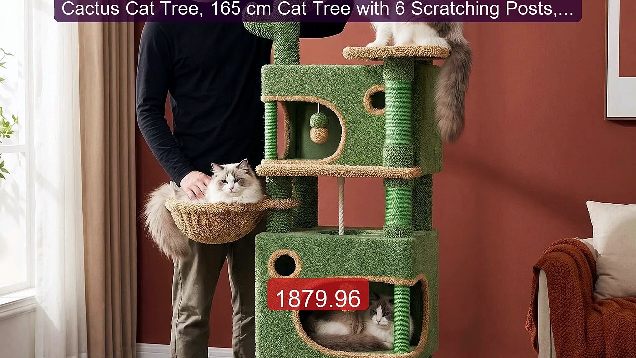 Cactus Cat Tree, 165 cm Cat Tree with 6 Scratching Posts, 2 Pl... -- Hot Deal 2026 | Limited Offer!