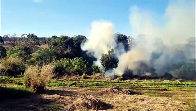 Incêndio em vegetação mobiliza bombeiros no Bairro Morumbi
