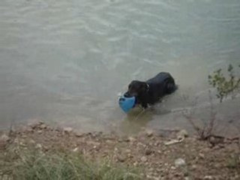 Balle a l'eau