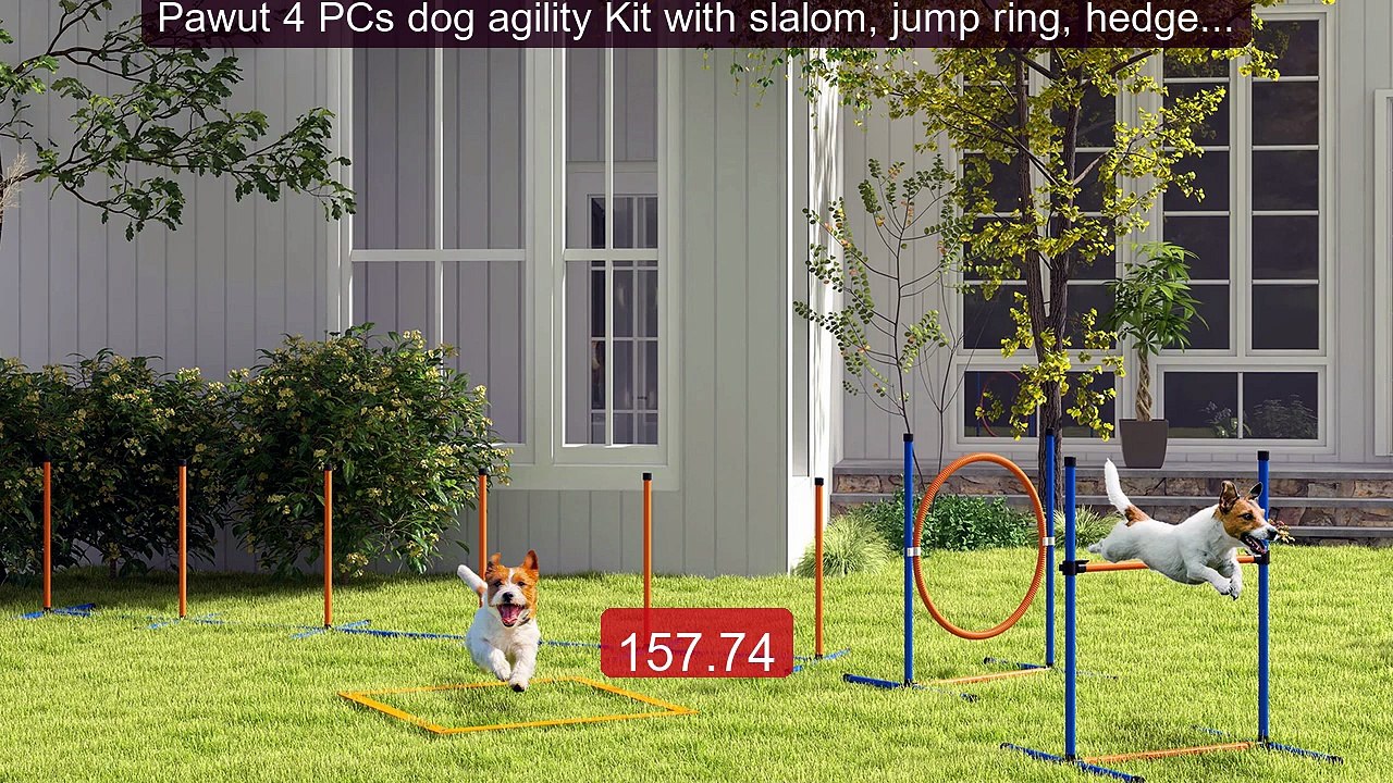 Pawut 4 PCs dog agility Kit with slalom, jump ring, hedges, a... -- Amazing Value 2026 | Must Have!