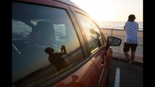 Man of Many / Ford Ecosport - Urban Discoveries