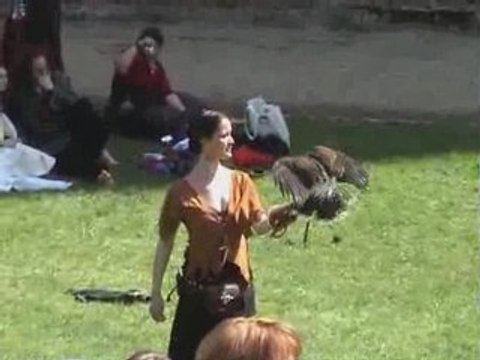 la compagnie du clair obscur à orleans