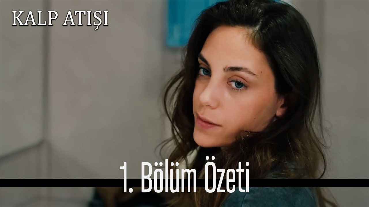 1 .Bölüm Özeti