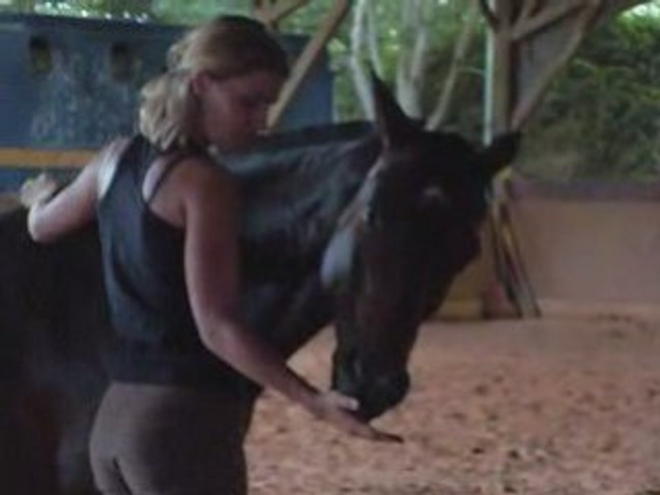 Toilletage mutuel