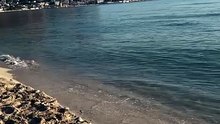 Palermo, Sicily 19-07-2026 (HD)