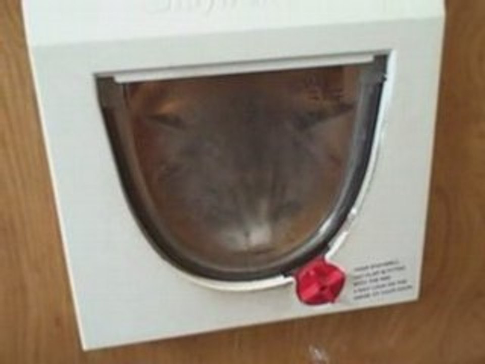 FAT CAT!