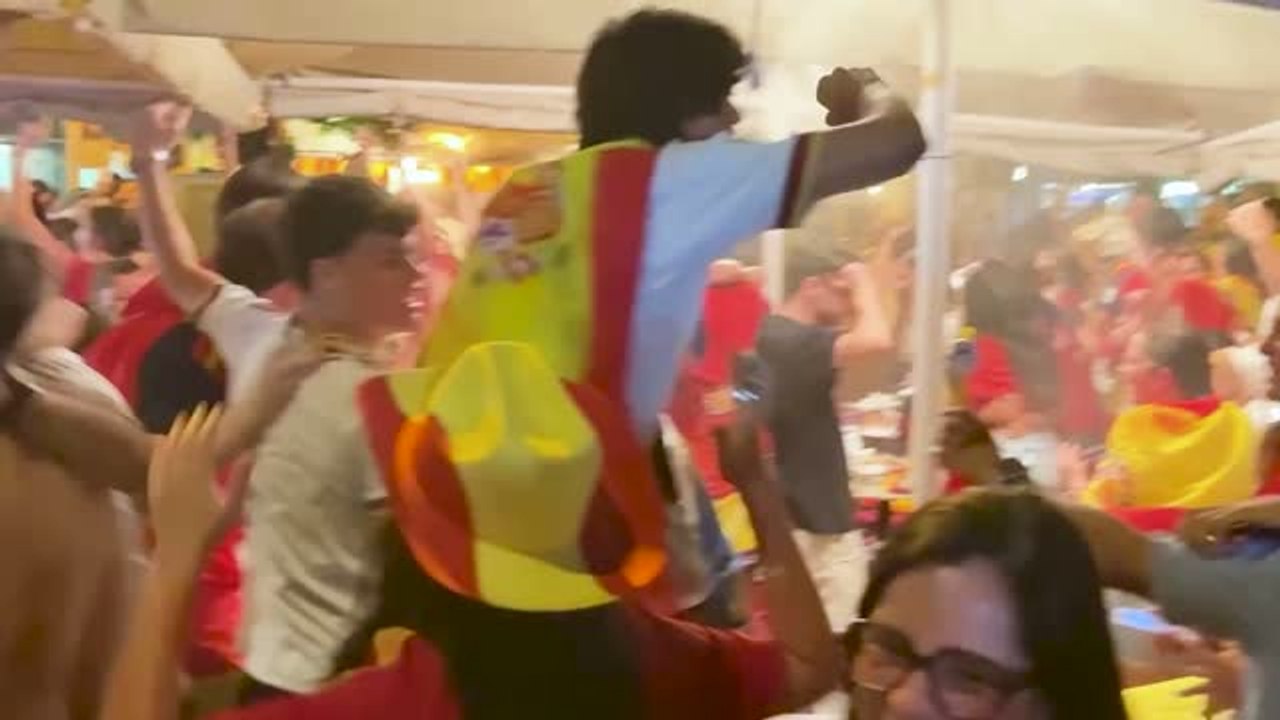 Spain fans go wild as Torres nets World Cup final winner