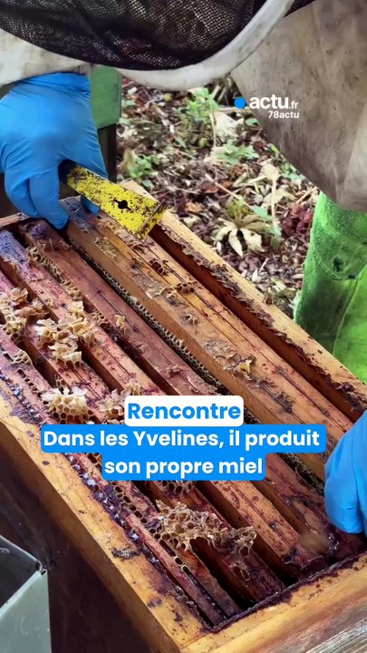 "C'est un métier extrêmement exigeant" : dans les Yvelines, Raphaël produit son propre miel