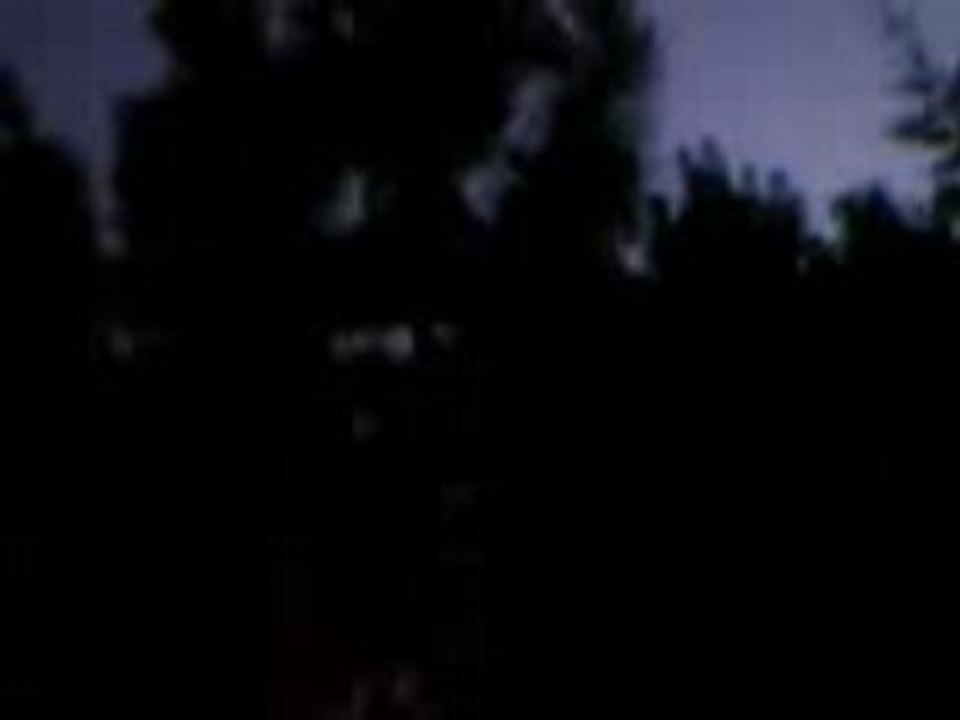 Tibonébé dans l'arbre