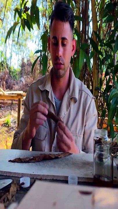 Le secret du tabac cubain – Entre tradition et...