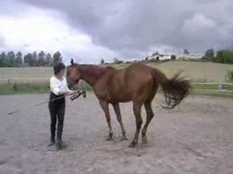 1 -Peppermint- CHASSER EPAULES & HANCHES-17 Juin 08