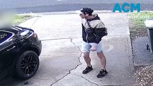 Stolen cars allegedly used in shooting, firebombing