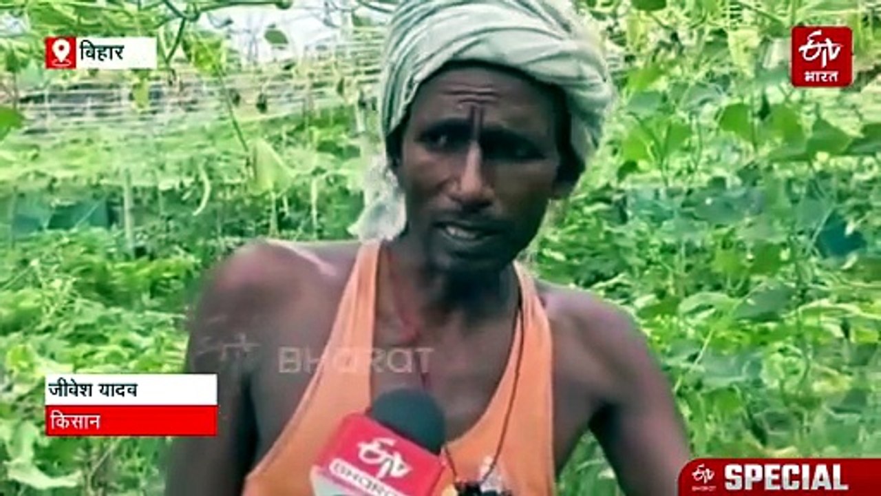 कम जमीन, लाखों की कमाई: जानिए क्या है 'फोर लेयर फार्मिंग' जिससे अमीर हो रहे हैं छोटे किसान