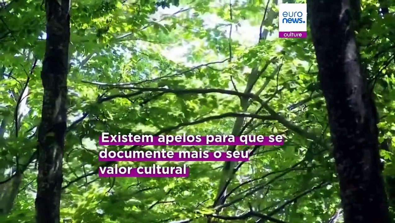 Monte Olimpo, na Grécia, é candidato ao Património Mundial da UNESCO