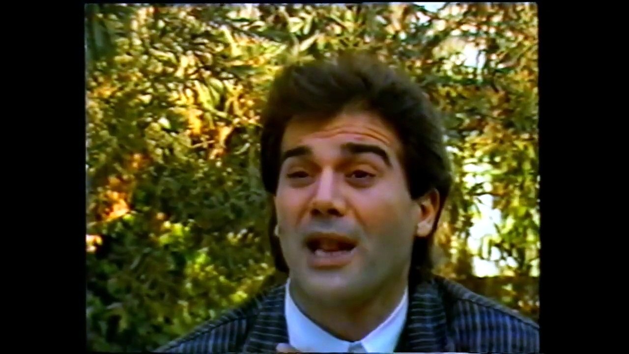Ερωτικές κόντρες (1987)