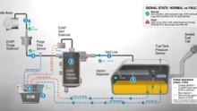 Code P0455 P0446 P0442 Symptoms, Causes, and How to Fix an EVAP Leak