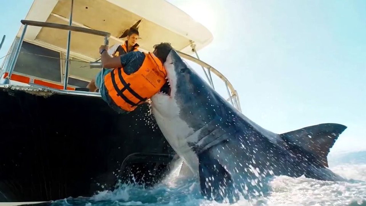 Shark Frenzy Trailer OV