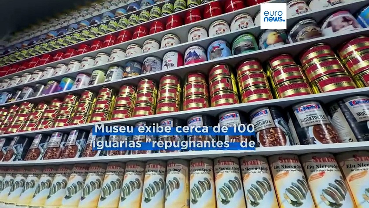 Queijo com larvas, peixe fedorento, estômago de porco: provar estas iguarias exige coragem