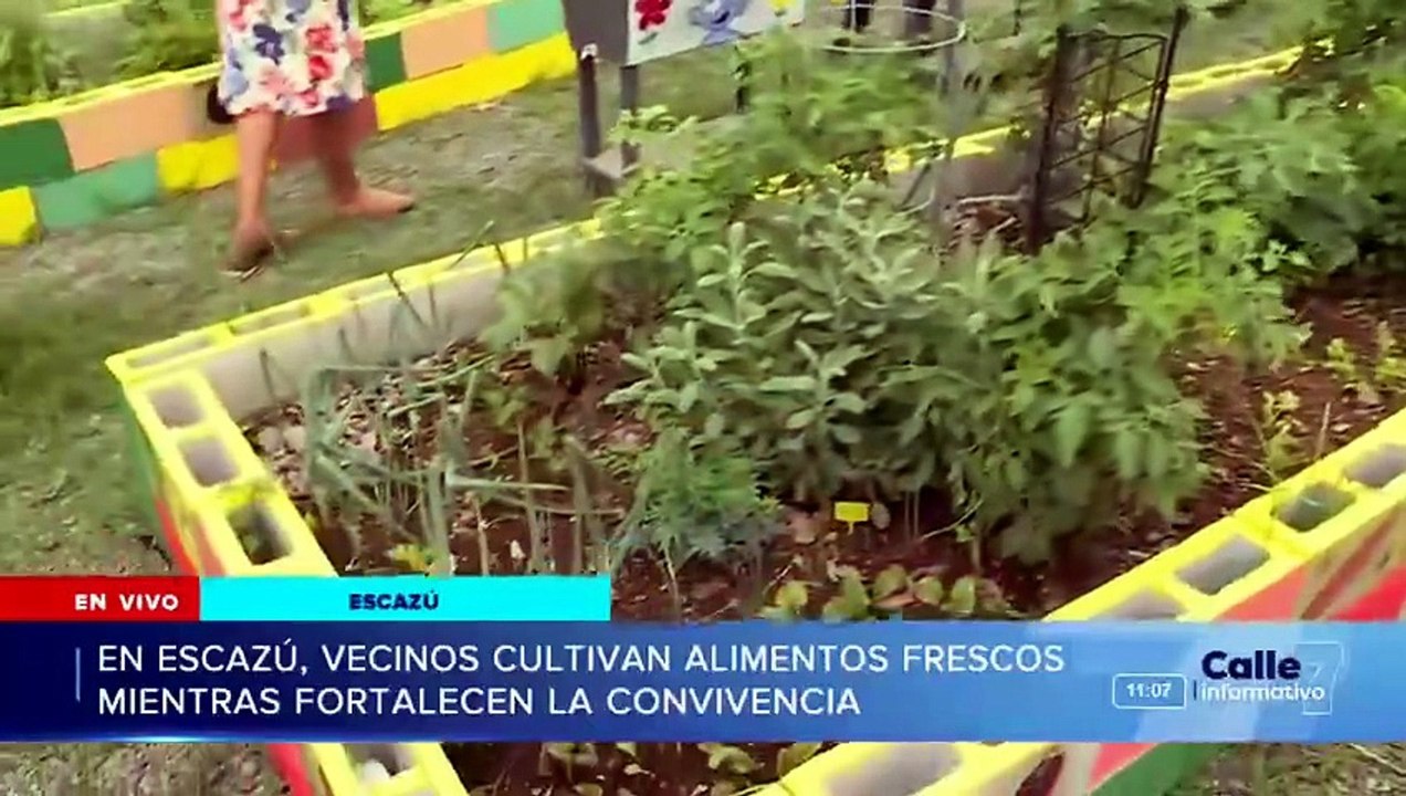 Calle 7, 03 junio 2026 [Full Movie]