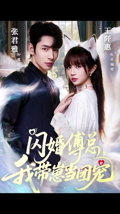 闪婚傅总，我带崽当团宠 (上)