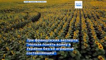 Эксперт: "Получить контроль над сельхозресурсами Украины значит отнять их у Евросоюза"