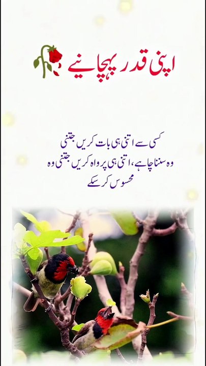 Zindagi Ka Sab Se Bada Sach! 🔥 Apni Qadar Pehchaniye #viral #shorts_video