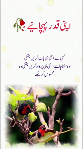 Zindagi Ka Sab Se Bada Sach! 🔥 Apni Qadar Pehchaniye #viral #shorts_video