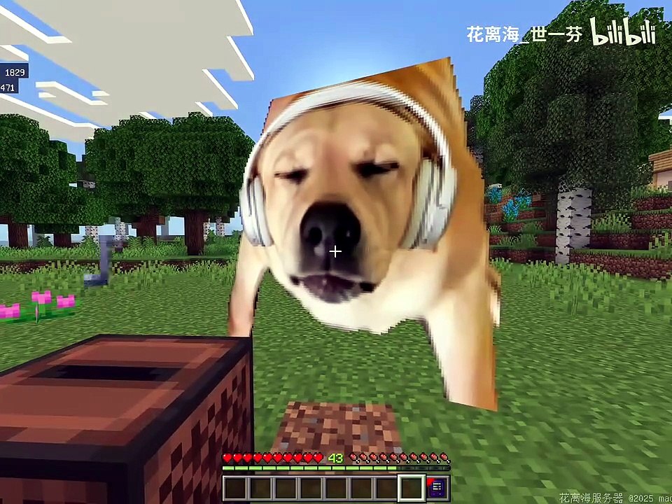 不算人