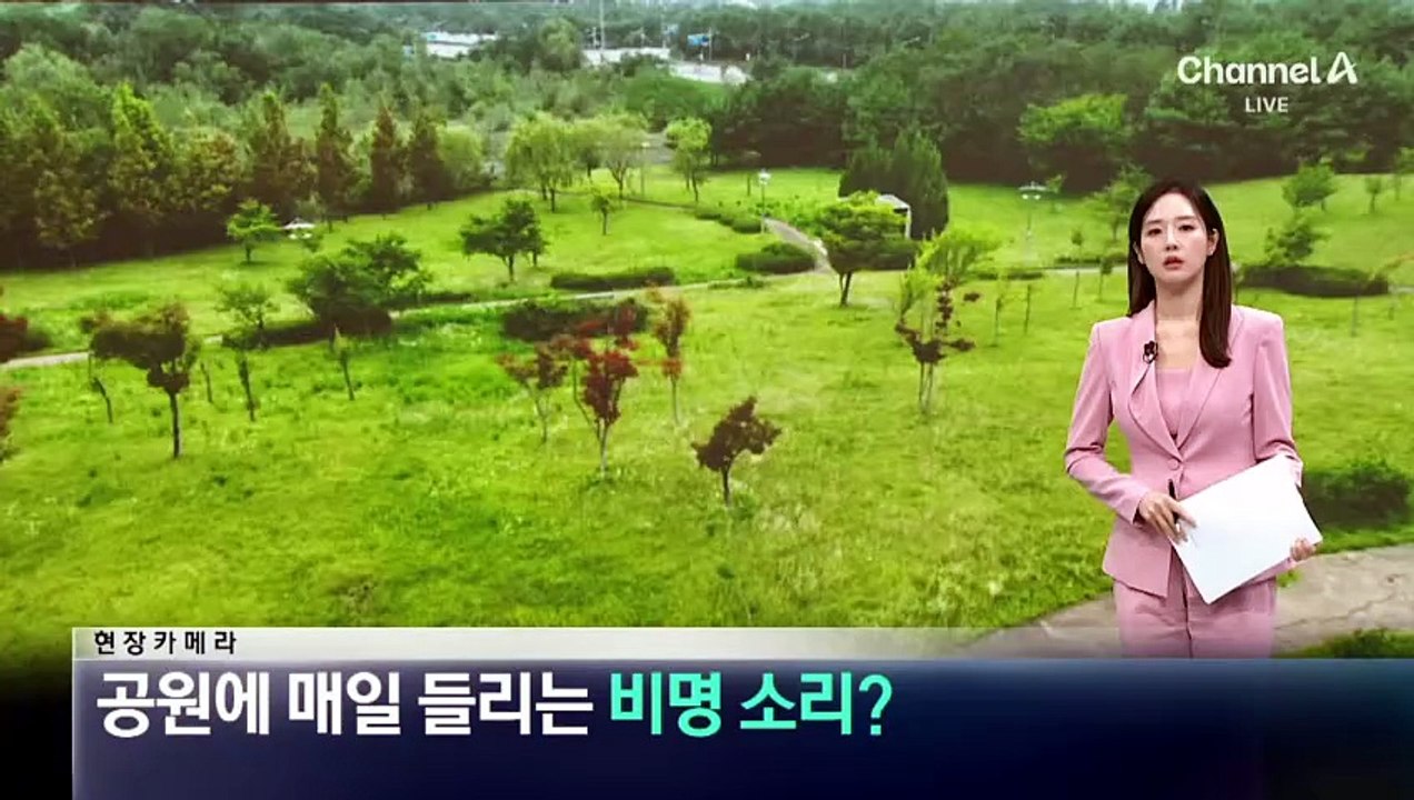 [현장 카메라]공원에 매일 들리는 비명 소리?…드론과의 불편한 동거