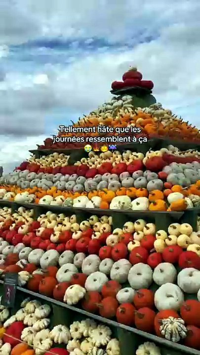 Vivement l'automne
