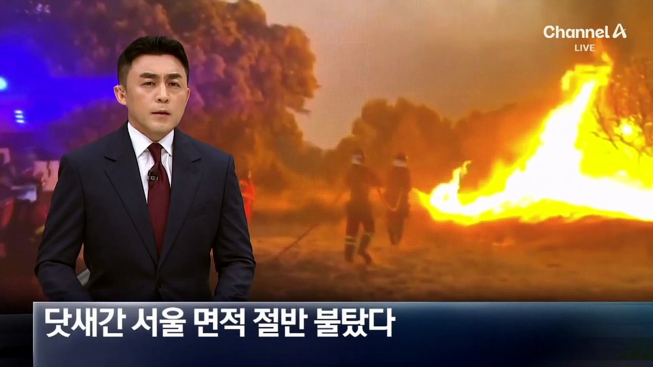 스페인, 산불 닷새째 이어져…서울 면적 절반 불탔다