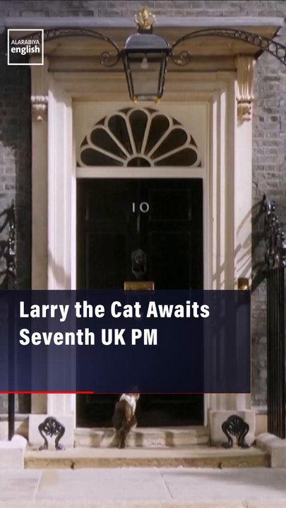 Larry the Cat Awaits Seventh UK PM