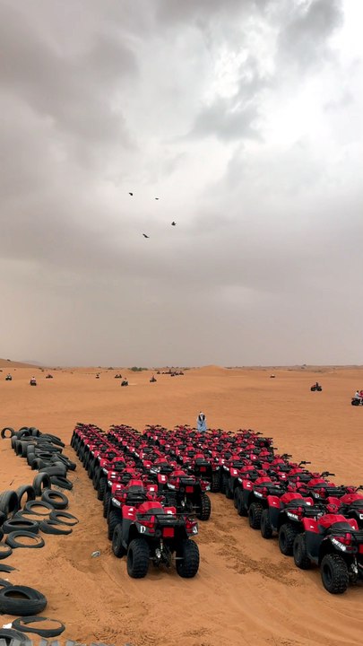 EN PLEIN COEUR du désert à Dubaï