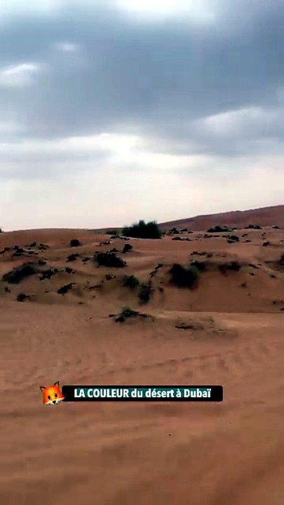 LA COULEUR du désert à Dubaï