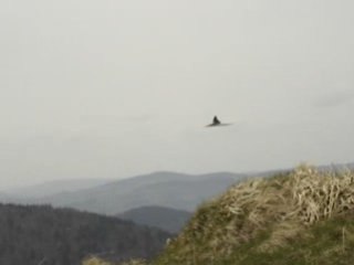 Vol de pente-Plus (assez) de vent!