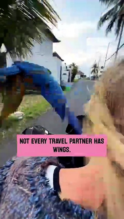 Woman Biking As Her Macaw Soars Alongside Her