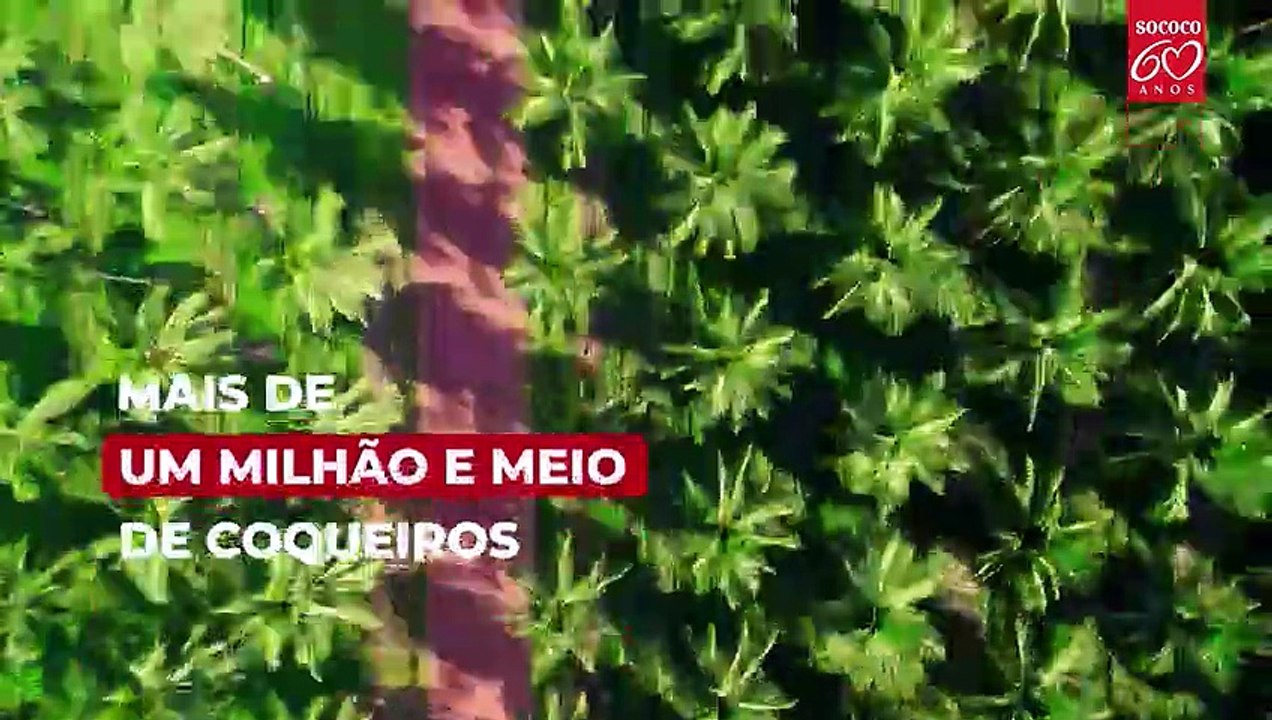 Sococo 60 anos