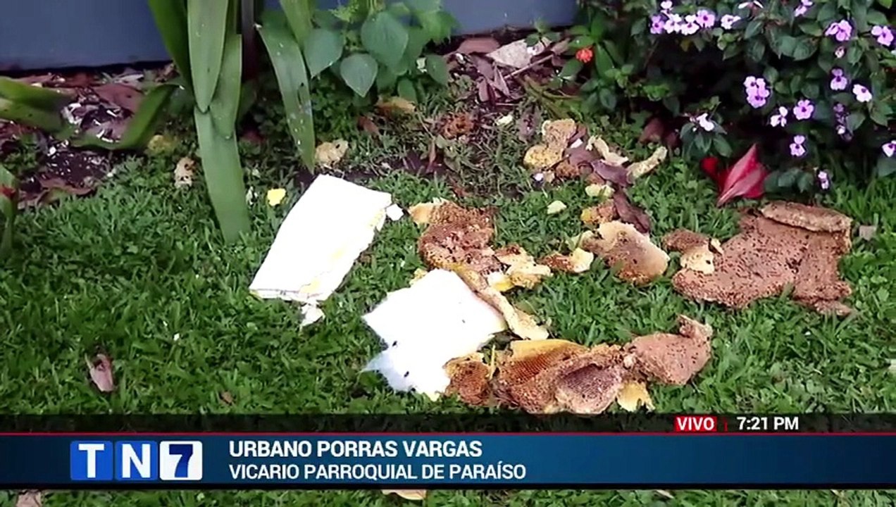 Edición vespertina de Telenoticias – 10 abril 2026 [Full Movie]