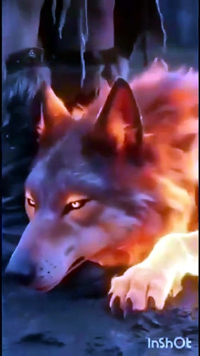 The Lycan Queen Will Rise - Hd Movie - FULL ✅ | Full Short Drama | English Sub 2026 [Full Movie] [Full Movie]