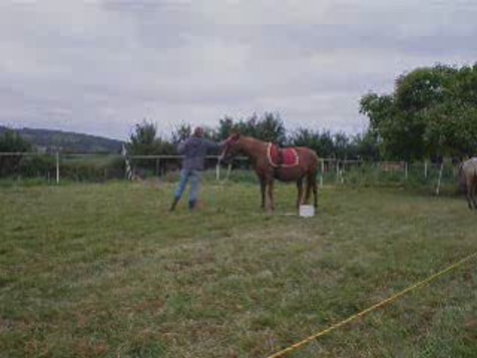 Séance du 06.07.2008