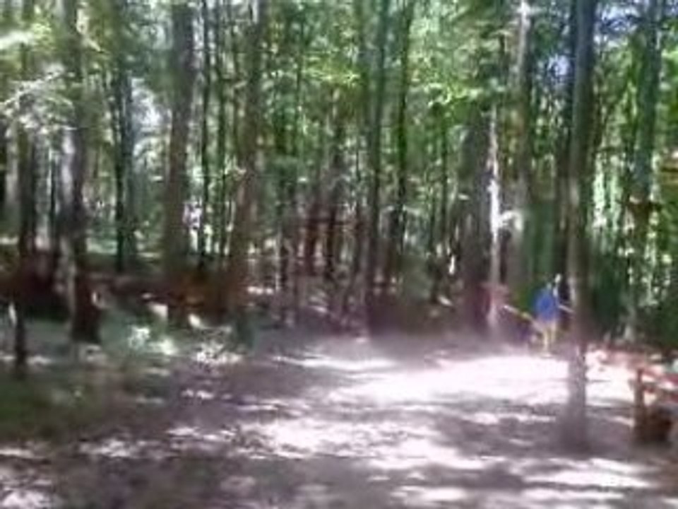 apa tarzan