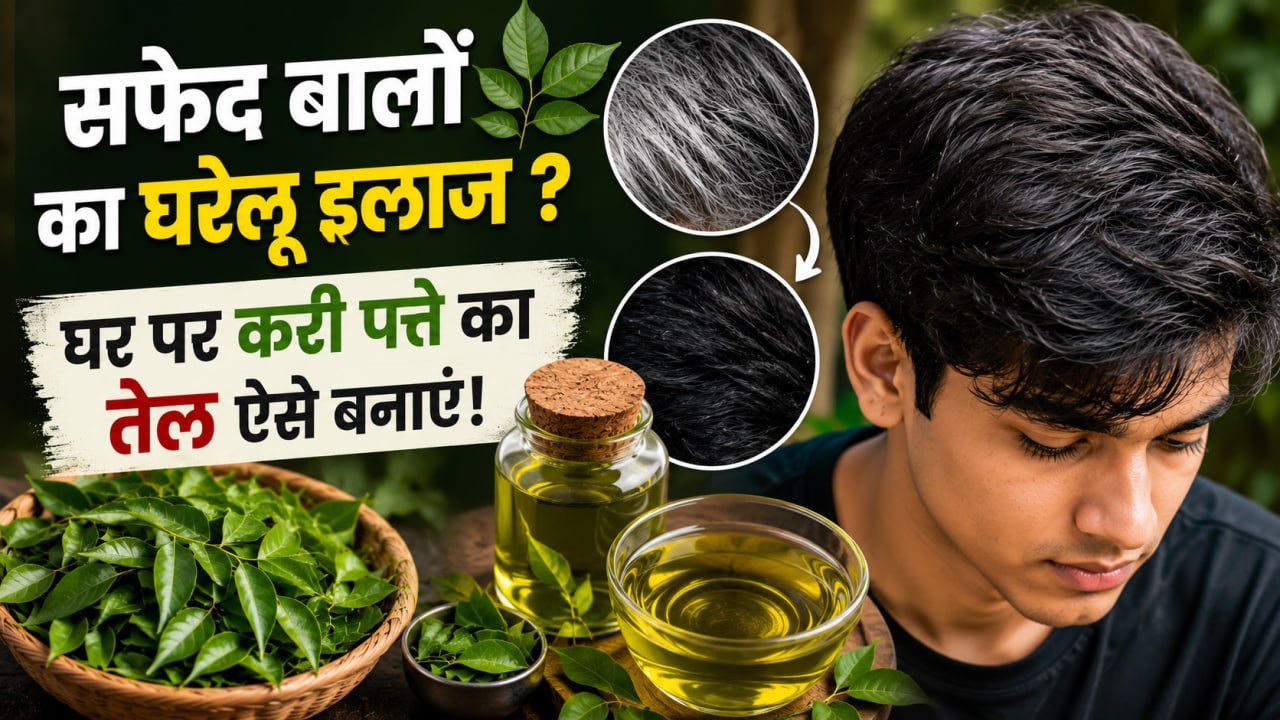 Curry Leaves for Grey Hair: करी पत्ता से सफेद बाल काले कैसे करें ? घर पर बनाएं ये Hair Oil
