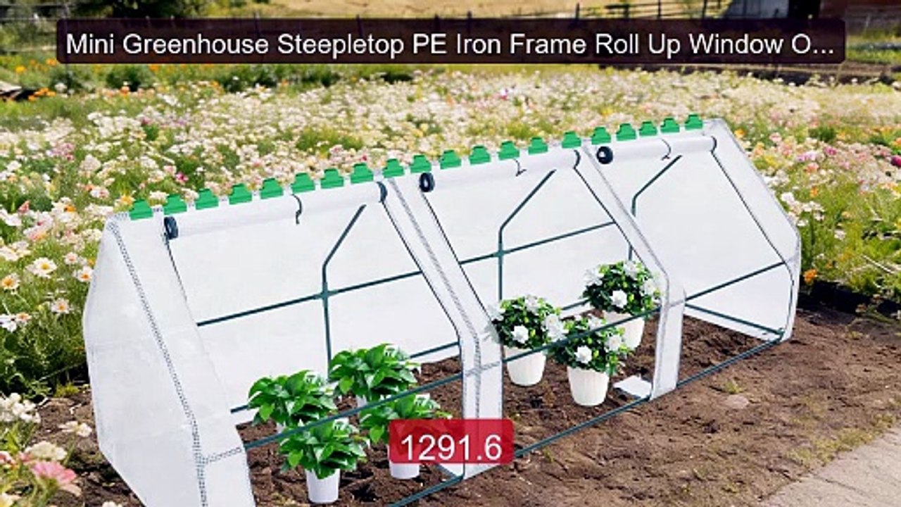 Mini Greenhouse Steepletop PE Iron Frame Roll Up Window Open Base ... -- Best Deal 2026 | Shop Now!
