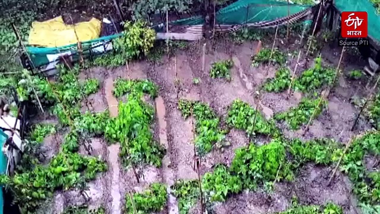 देश भर में मानसून का अलग-अलग मिजाज: कश्मीर से यूपी तक किसानों के खिले चेहरे, श्रीनगर-गुवाहाटी में जलभराव ने बढ़ाई परेशानी