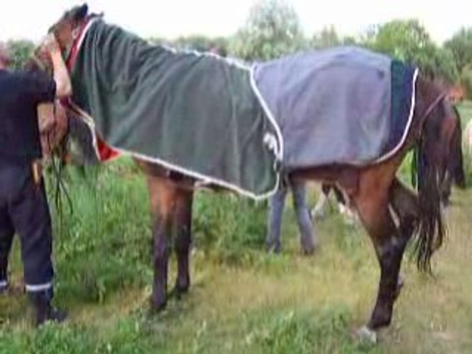 Prisca6juin08