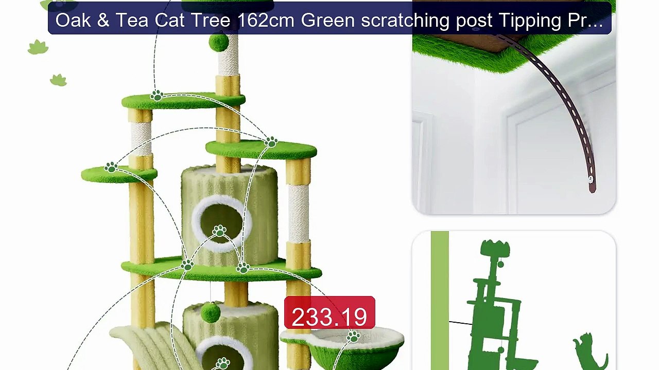 Oak & Tea Cat Tree 162cm Green scratching post Tipping Prot... -- Top Pick 2026 | Unbeatable Price!