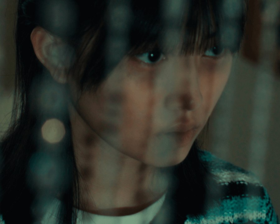 Doppelganger, The Other Me