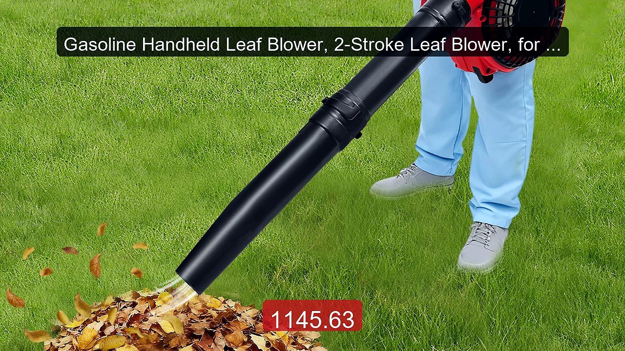 Gasoline Handheld Leaf Blower, 2-Stroke Leaf Blower, for Leaf... -- Amazing Value 2026 | Must Have!