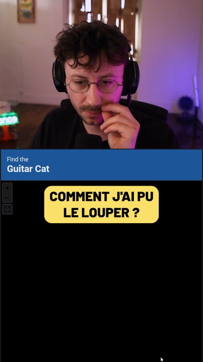 Trouver le chat avec une guitare