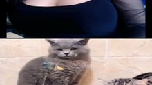 ¿Por que deberias tener mascotas?
